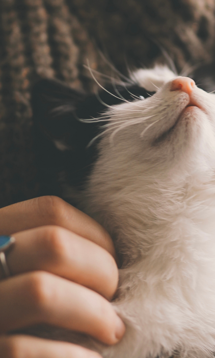 Design sans titre (14)