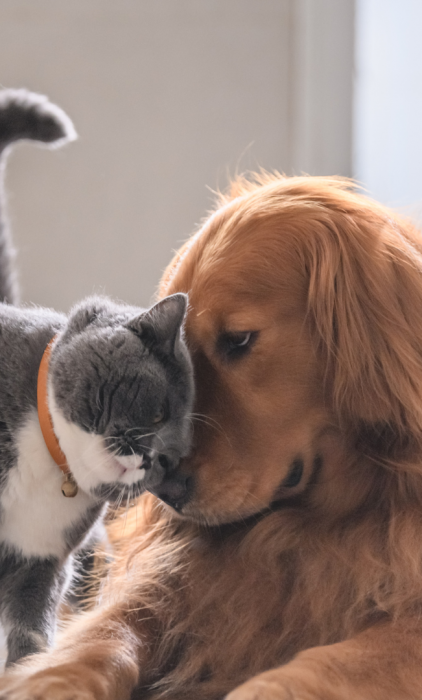 Design sans titre (15)